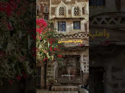 صنعاء حاليه حسين محب