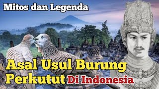 Sejarah Burung Perkutut Di Tanah Jawa