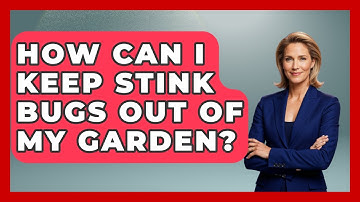 How Can I Keep Stink Bugs Out Of My Garden? - Insects and Invaders