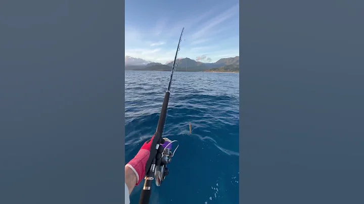 On the hunt. #fishing #gt #hawaiifishing #ulua #topwater #reefmonsters #kauai