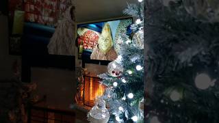 Un video Navideño #christmas #limpiezaydecoracion #navidad #lifewitheve
