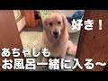 どうしても一緒にシャワーに入りたい子