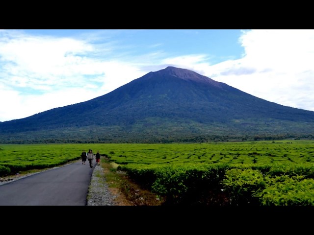 Li Bagian ( anak umang ) Lagu Daerah Sumatera Selatan class=