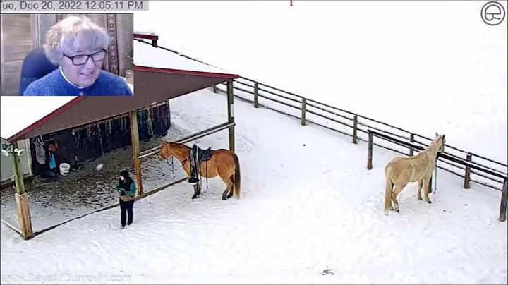 Dunrovin Ranch Video_2022-12-20...  Oggy
