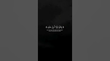 وقالوا لولا انزل عليه آيات من ربه - عبدالرحمن مسعد