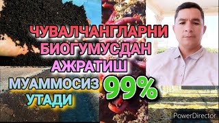 ЧУВАЛЧАНГ БИОГУМУСДАН АЖРАТИШ/CHUVALCHANG BIOGUMUSDAN AJRATISH@biogumussurhondaryo8743