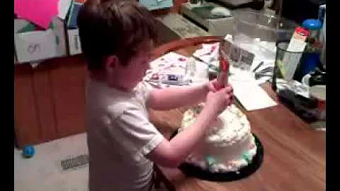 Michael Lannon designs a cake with Princess the ca...