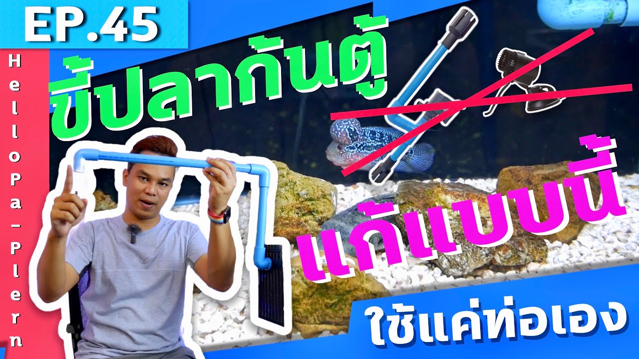 EP.45 ขี้ปลาก้นตู้ กรองมุม/กรองเต็ม น้ำพัดแรงเกิน แก้ง่ายด้วยวิธีนี้ |พาเพลิน อะควาติก
