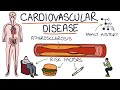 Understanding Cardiovascular Disease: Visual Explanation for Students