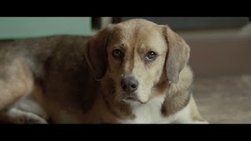 映画「石岡タロー」予告編