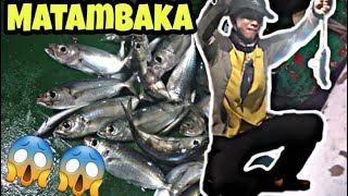 How to catch Big-eye Scad (Matang-baka) | Filipino Style :D | Rintik Fishing