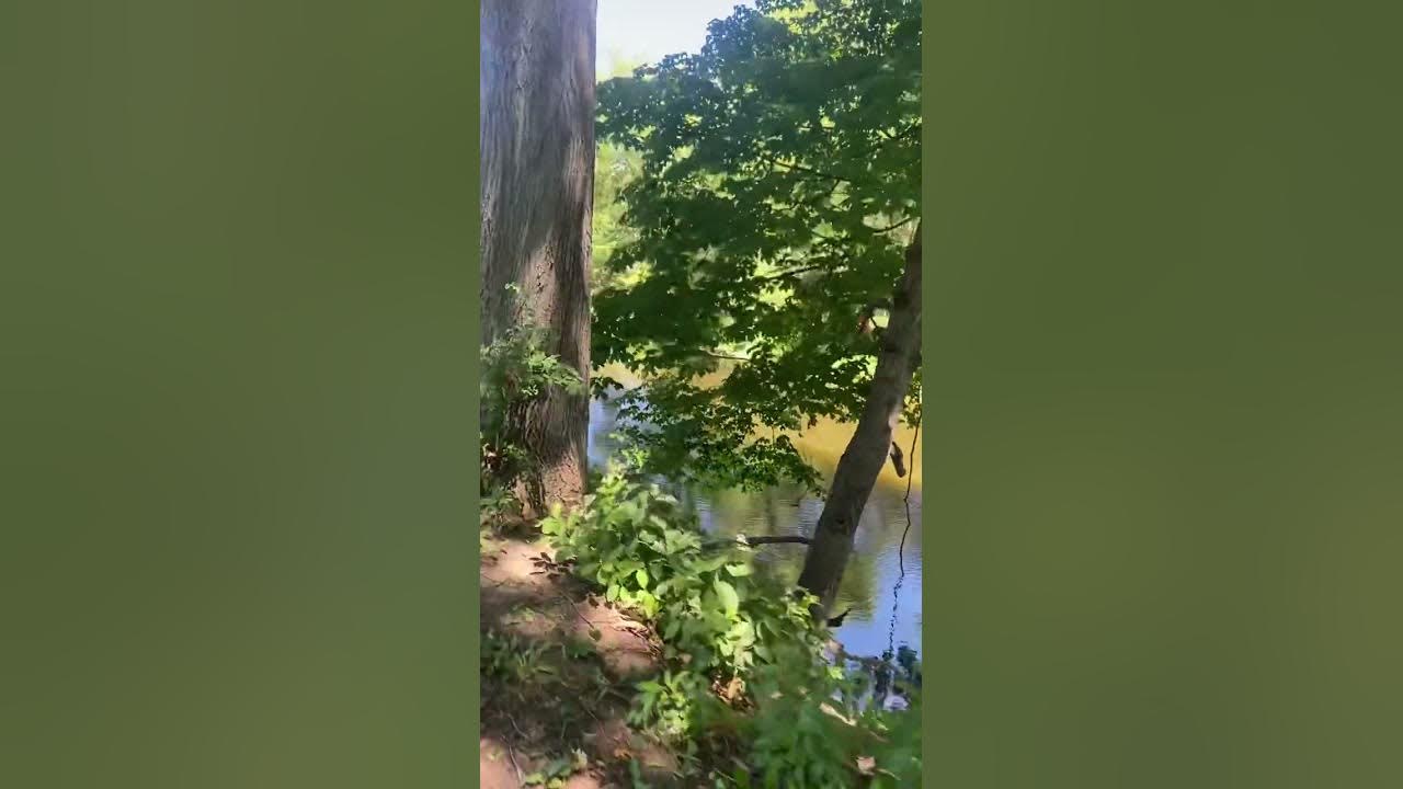 Root river pathway island park Racine Wi YouTube