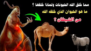 حيوان خلقه الله من الشيطان.. لن تصدق ما هو..احذر منه !!