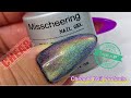 RAINBOW CATEYE Gel Polish By Miss Cheering - CheapO Nail Products Series