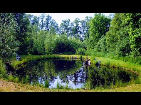 Video: Crea un estanque en el campo