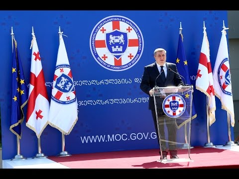 სასჯელაღსრულებისა და პრობაციის სამინისტროს სისტემაში განხორციელებული რეფორმების ანგარიში