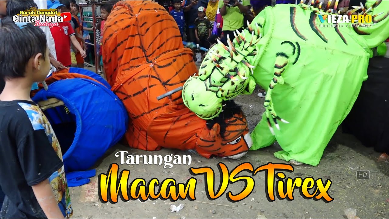 VIRAL TARUNG MACAN VS TIREX ~ BUROK DANGDUT CINTA NADA BUDAYA SHOW KARANGBALE 19/02/2025