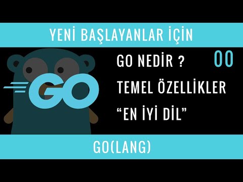 Video: Golang geliştiricisi nedir?