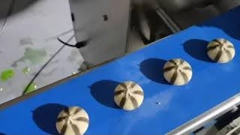 Longyu SV-208A Double colors cookies encrusting machine