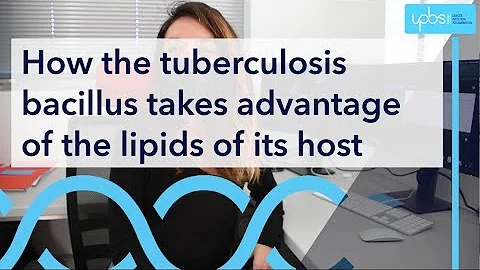 How the tuberculosis bacillus takes advantage of the lipids of its host.