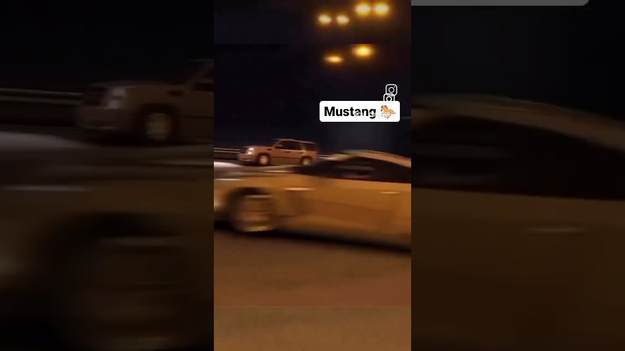 Mustang