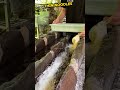 Japan S Fun Noodle Tradition Japan S Fun Noodle Tradition