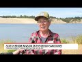 Scotch broom planted to stabilize Oregon dunes now threatens coast