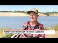 Scotch broom planted to stabilize Oregon dunes now threatens coast