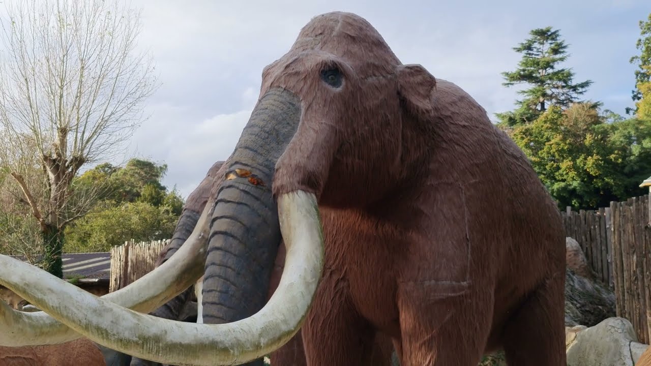 Ice Age at West Midlands Safari Park 8K