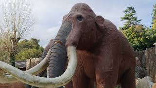 Ice Age At West Midlands Safari Park 8K