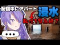 配信中にアパートが浸水してしまったムーナ...【ホロライブID/日本語字幕】