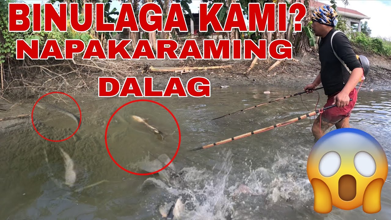 Binulaga kami at sinalubong ng napakaraming dalag nataranta kami sa pagkuha?