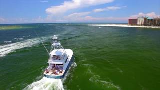 Blue Marlin Grand Championship 2016 - Boat Parade with Drone Footage!