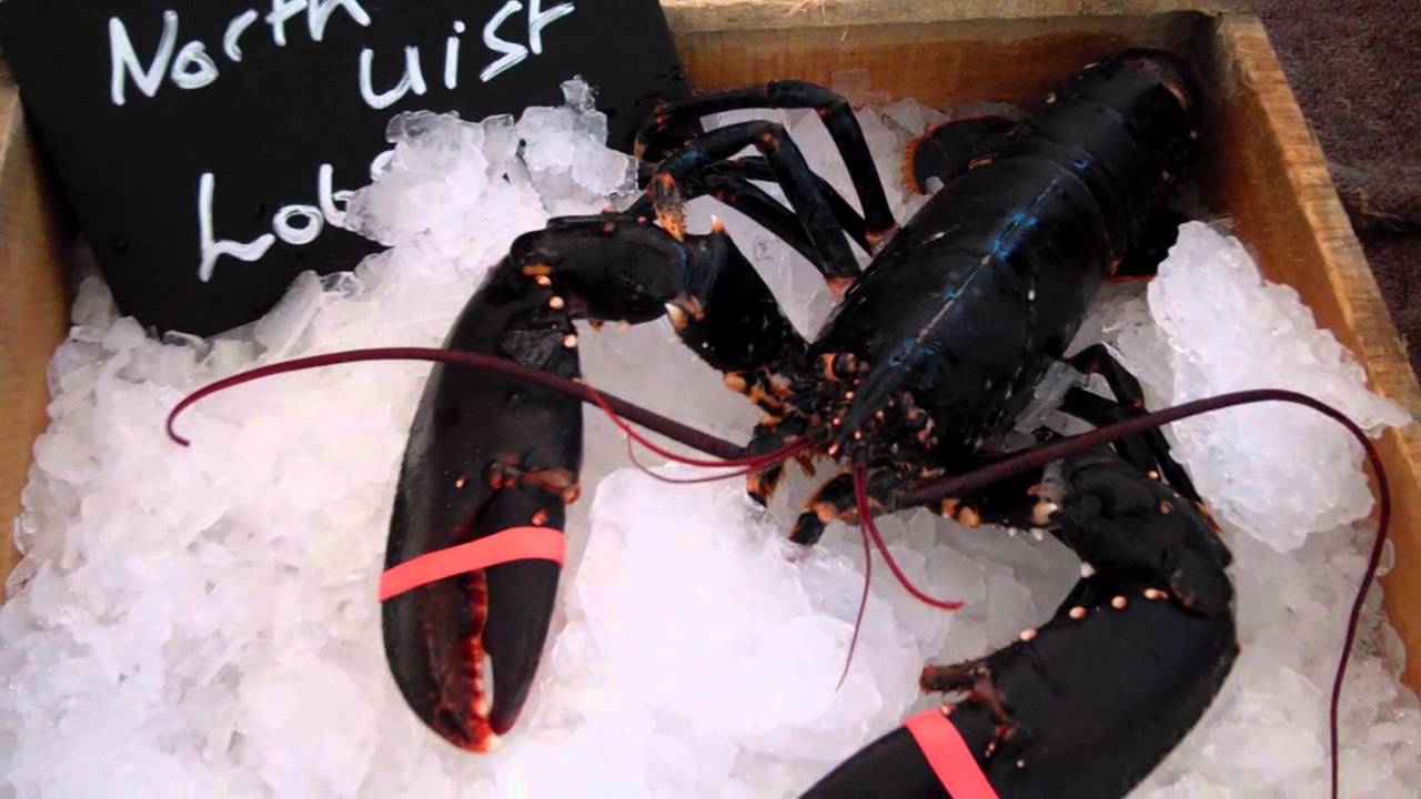 North Uist Lobster Farmers Market Perth Perthshire Scotland YouTube