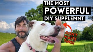 Stop Throwing Away Eggshells Stretch Your Dollar & Get The Most Out Of Your Eggs