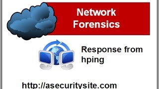 Network Forensics: Response from Hping for a request