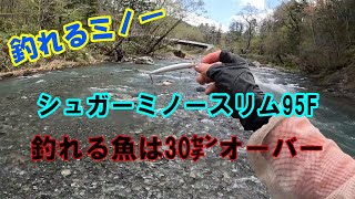 雪代残る渓流で釣れるミノー【シュガーミノースリム95Fミノー】