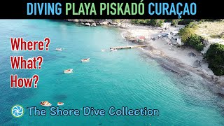 Diving Playa Piskadó Curaçao The Shore Dive Collection Tropiclens 4K