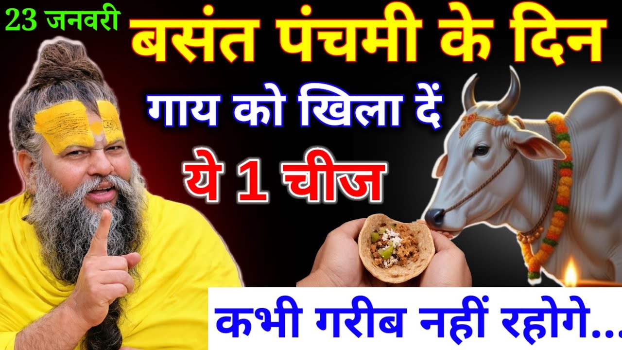 बसंत पंचमी के दिन चुपचाप गाय को खिला देना ये 1 चीज, कभी गरीब नहीं रहोगे.. ! Premanand Ji Maharaj