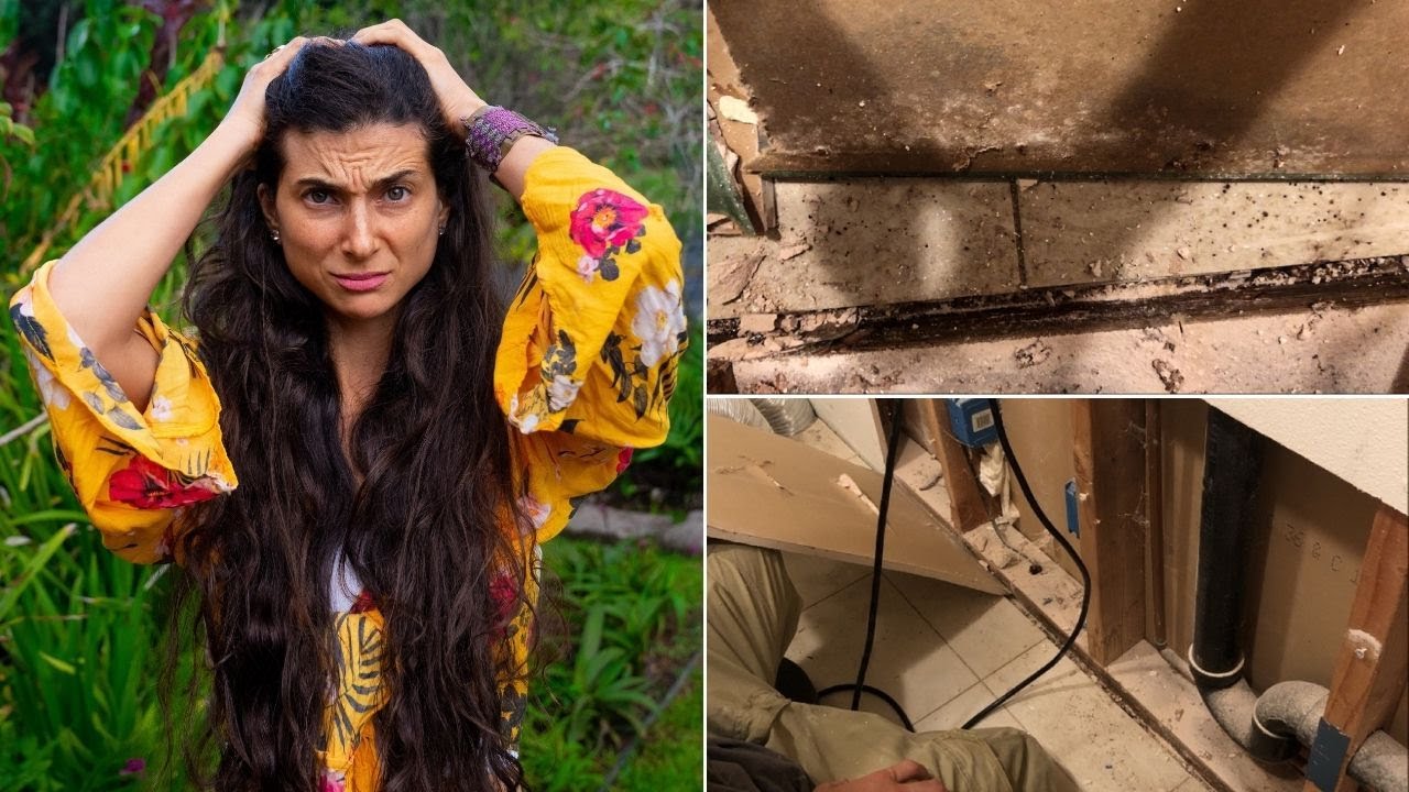 How We Got Rid of Toxic Mold 🦠 Our Remediation Story ⚠️ Natural Tips to ...