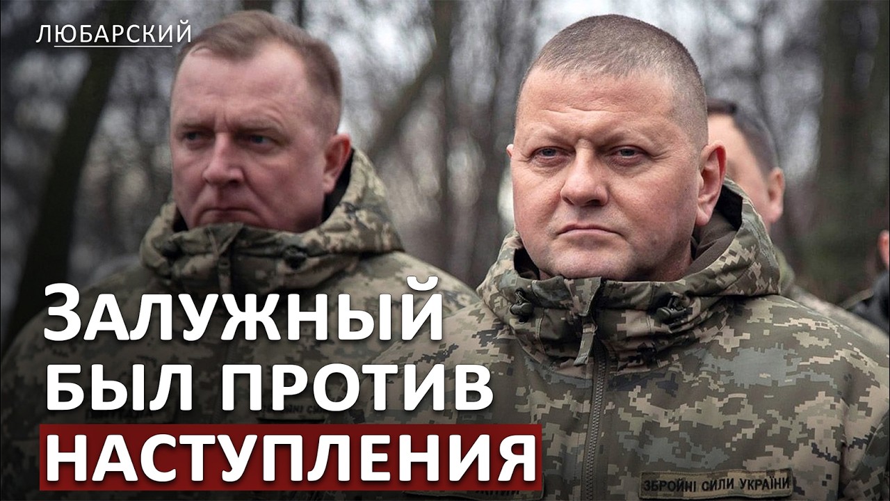 Контрнаступление 2023: кто заставил Залужного идти в бойню
