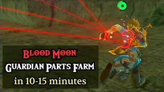 My Blood Moon Farming Routine — TONS of Guardian Parts in 10-15 Minutes (Zelda: Breath of the Wild) screenshot 3