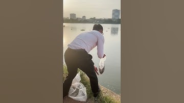 Ý Nghĩa Về Việc Thả Cá Chép Ngày Ông Công Ông Táo