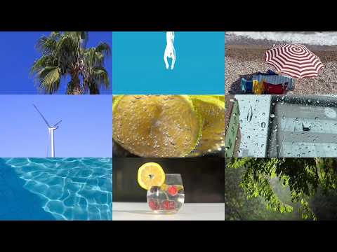 ABOUT (어바웃) - 한때의 여름 [Official Lyric Video]