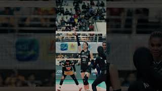 Siapa Dia Teh Celber