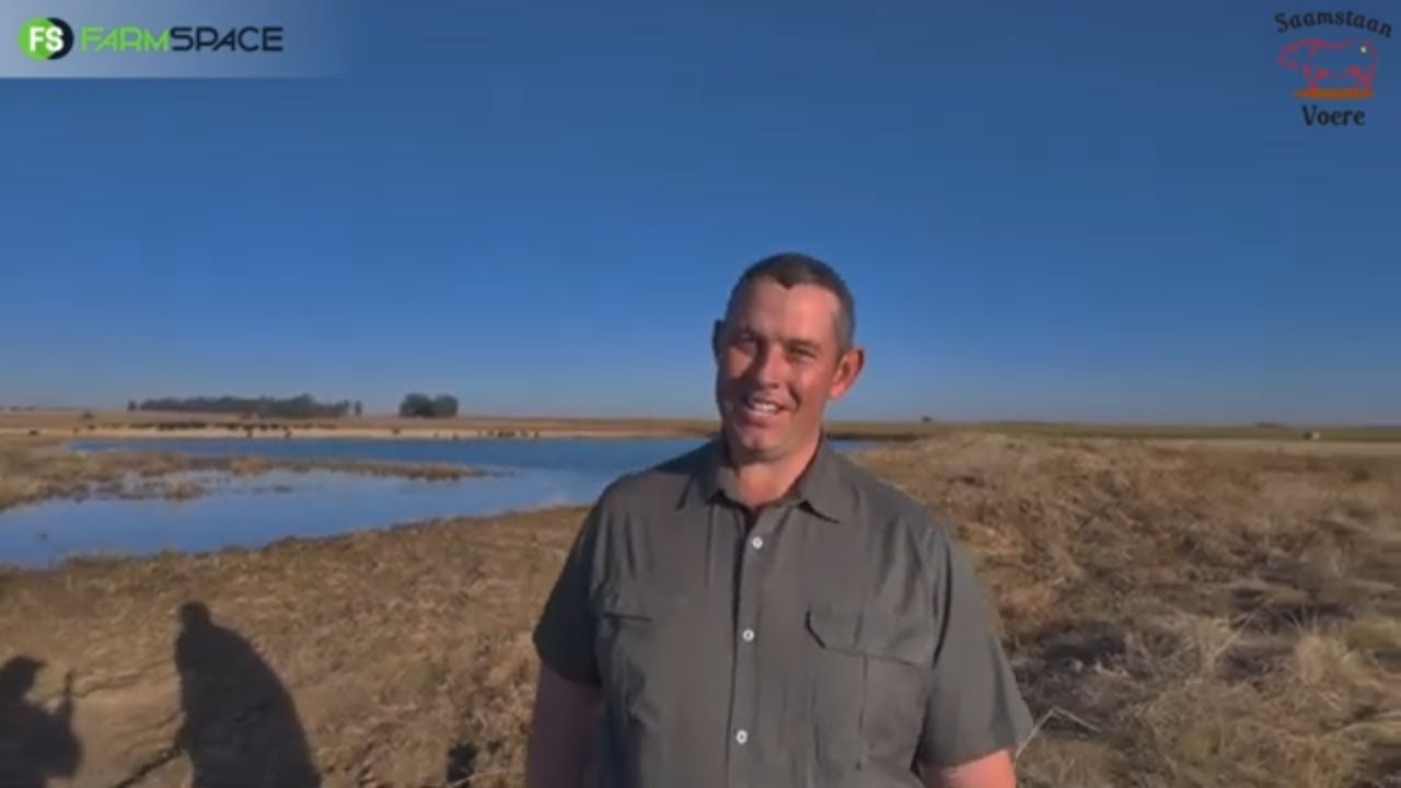 Hoe belangrik is dit om vir jou beeste die regte kos te gee? Pieter-Jan vertel van Saamstaan Voere.