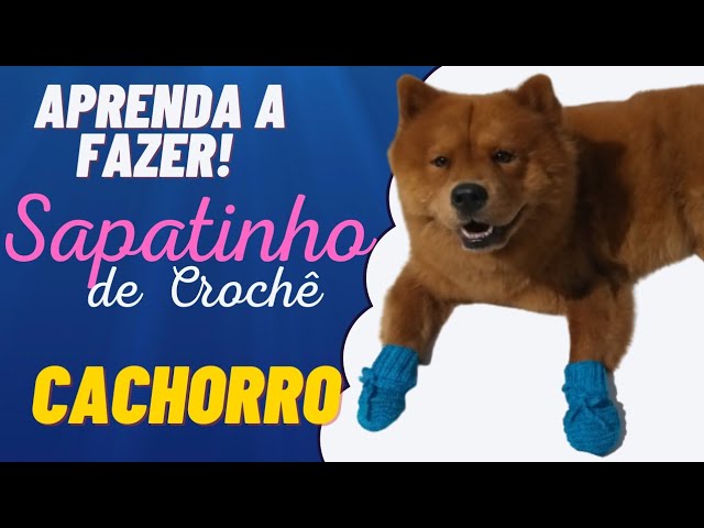 cachorro pug sapatinho para cachorro de croche