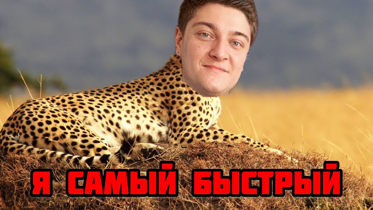 Самый быстрый цивик