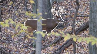 22 ULTIMATE HUNTING KILL SHOTS!