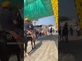 Fauj guru gobind singh di horseriding horselover horseloverinpunjab sukhsandhu wmk georgopool